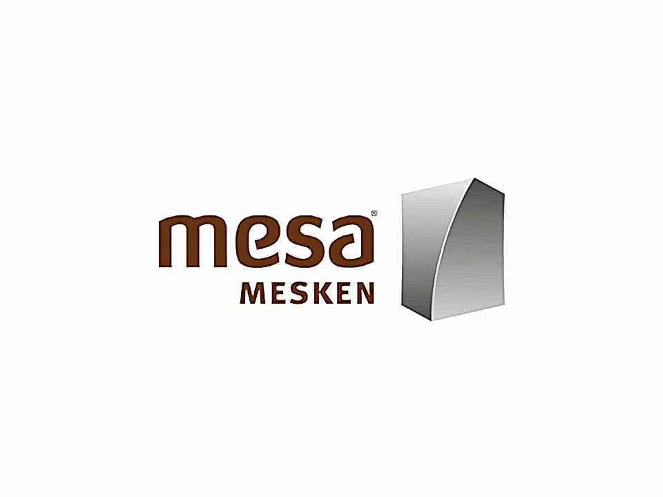 sineğe son ankara